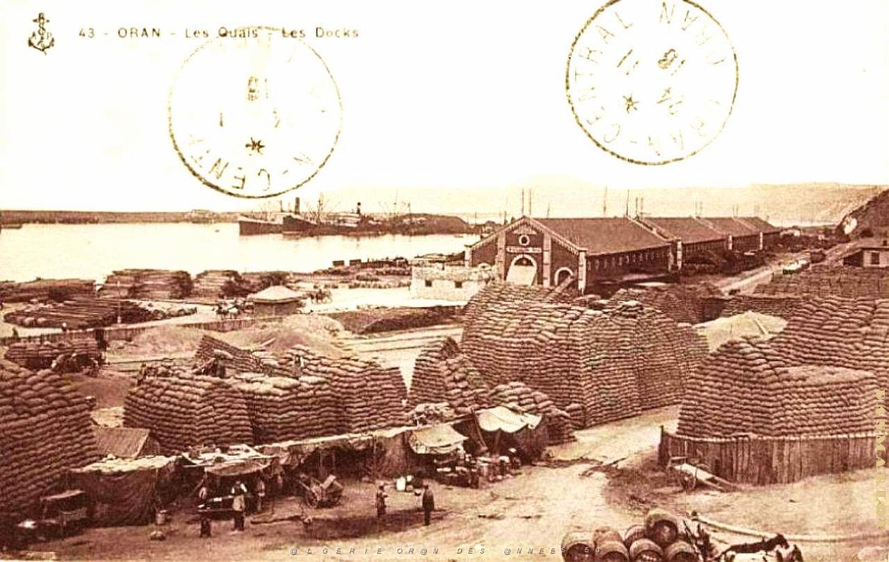 PO e- 347.jpg